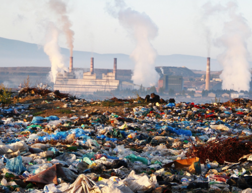 Crimes contre l’environnement : un défi pour le parquet européen