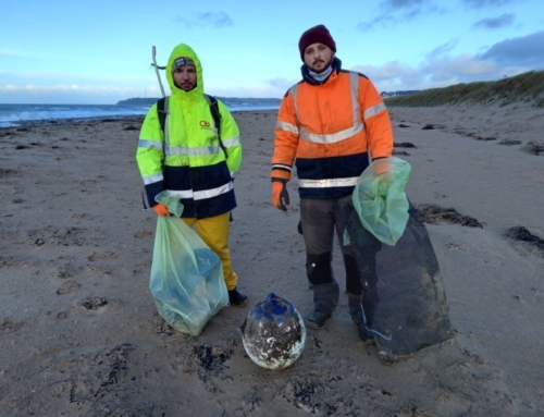 Par tous les temps, Jimmy et Stéphane nettoient les plages du Cotentin